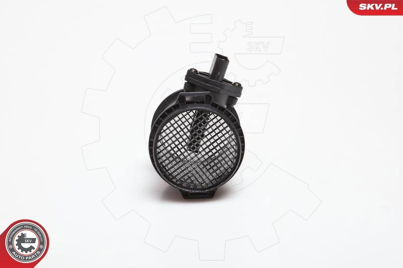 Mass Air Flow Sensor